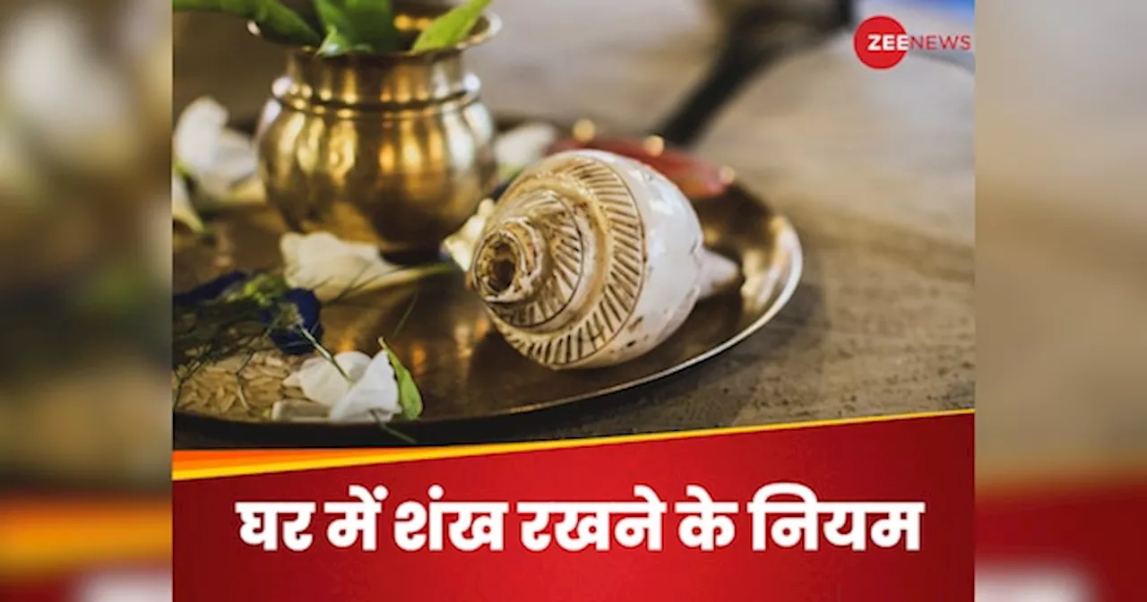 Vastu Tips: घर में शंख रखने के इन नियमों का कर लिया पालन तो बरसेगा पैसा ही पैसा, नहीं लगेगा कोई वास्तु दोष