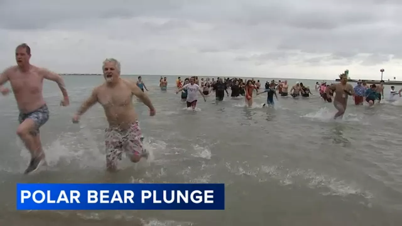 Hundreds Plunge into Icy Waters for Annual Polar Bear Plunge