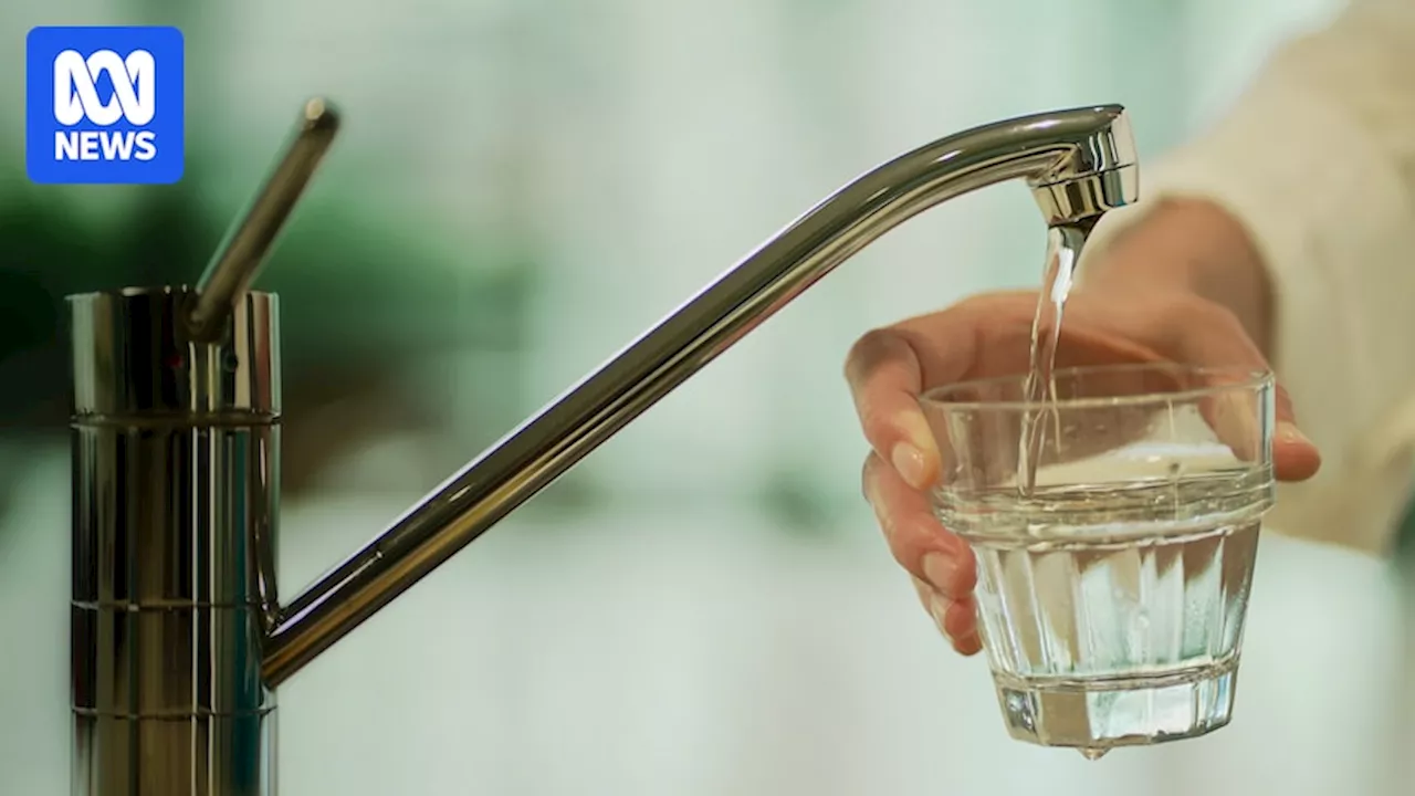 Brisbane Tap Water Has Unusual Taste, But It's Safe to Drink