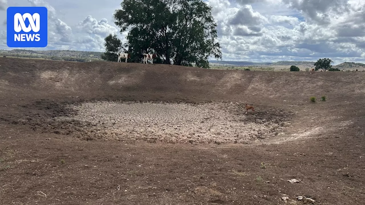 Rain Shadows Leave Some Queensland Properties in Drought