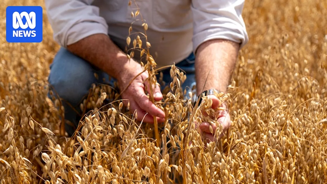 South Australia Faces Record-Breaking Drought