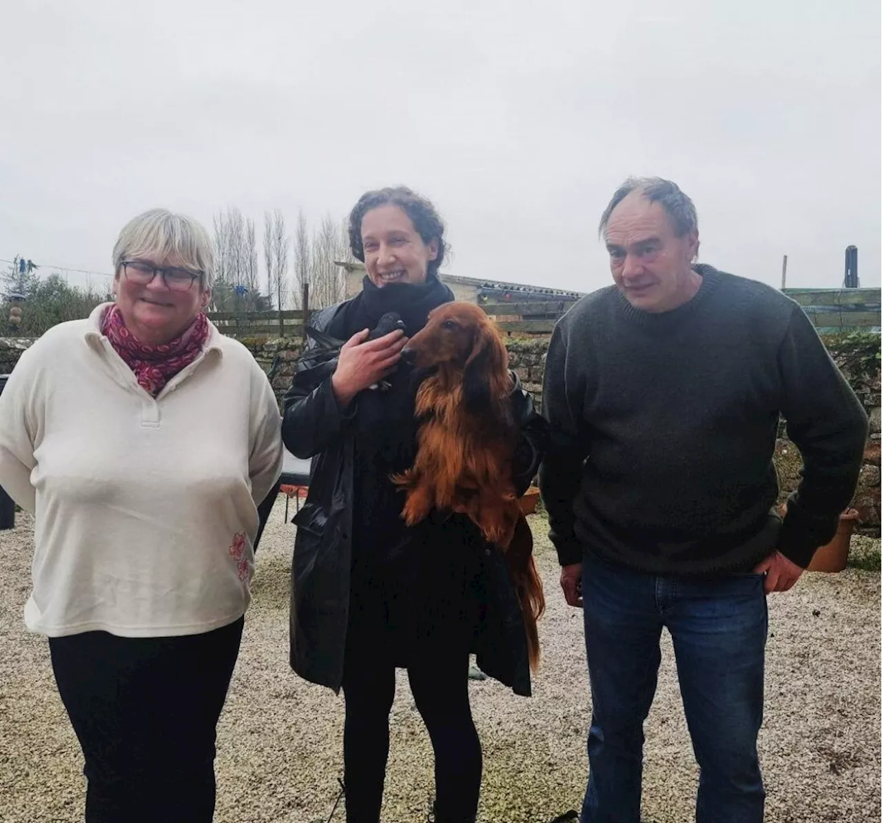 Le Miracle de Tempête: La Pigeonne Revient Chez Sa Famille