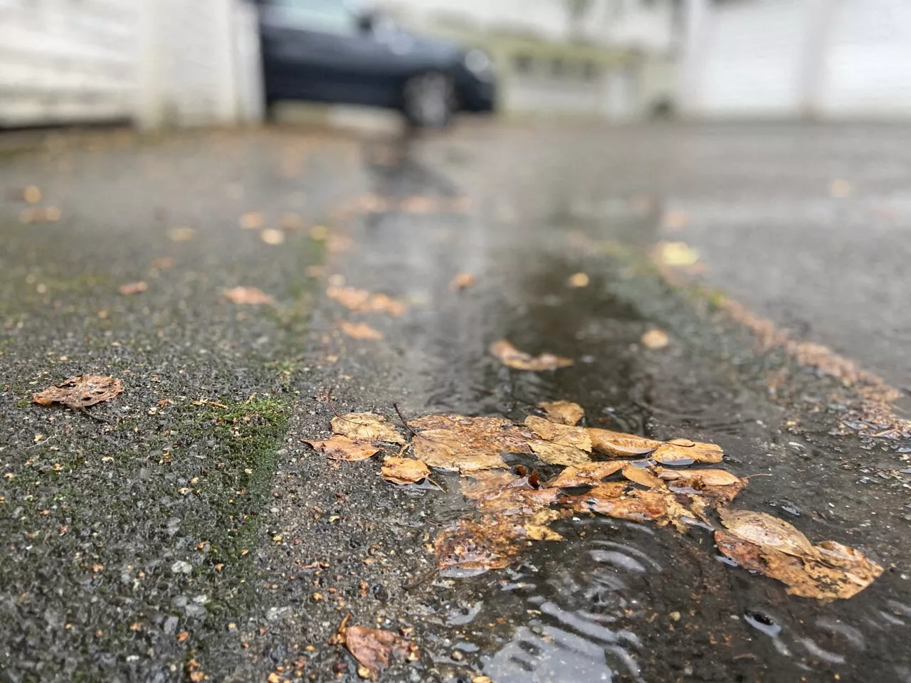 Pluie, inondation : le département de l'Ille-et-Vilaine placé en vigilance par Météo France