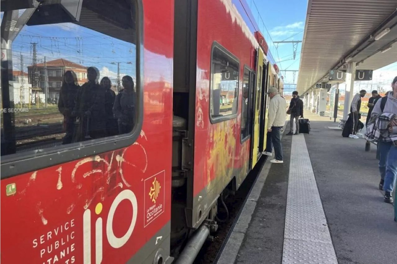 Train Lio Interrompu entre Toulouse et Pau à Cause du Givre