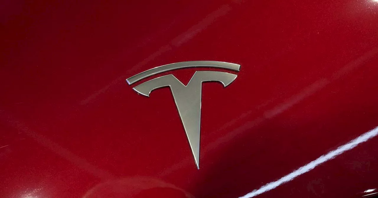 Tesla Sales Drop for First Time in Over Decade