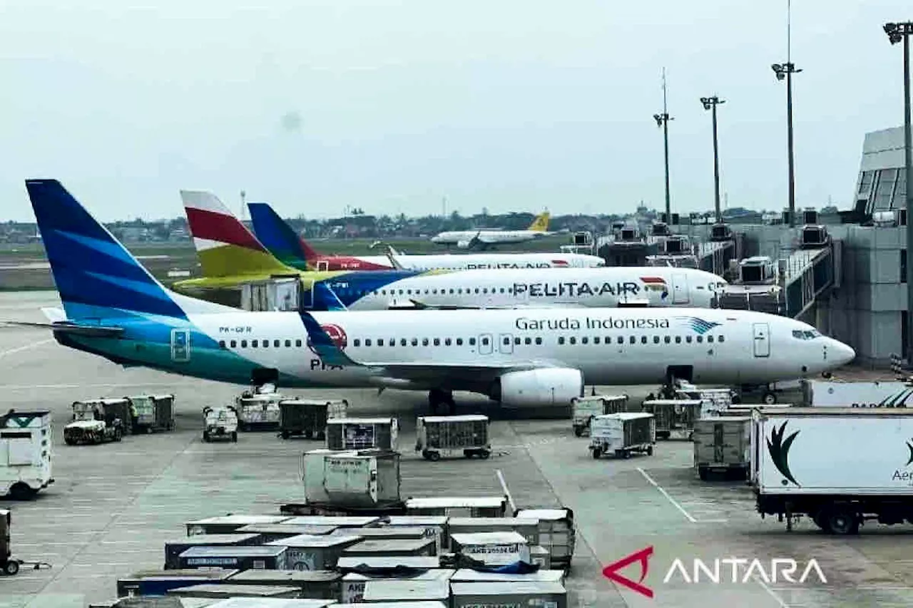 Garuda Indonesia dan Pelita Air Targetkan Tambahan 26 Armada Pesawat di 2025