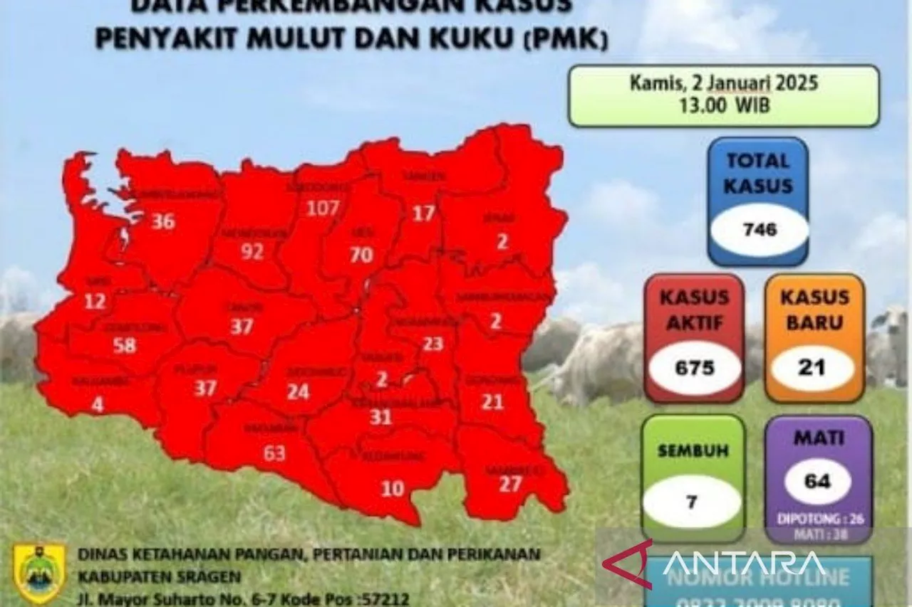 Penyebaran Virus PMK Merata di 20 Kecamatan Kabupaten Sragen