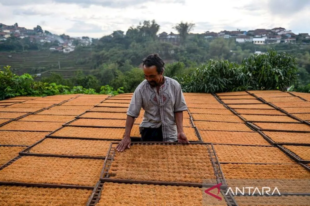 Penyesuaian CHT Mempengaruhi Inflasi Rokok