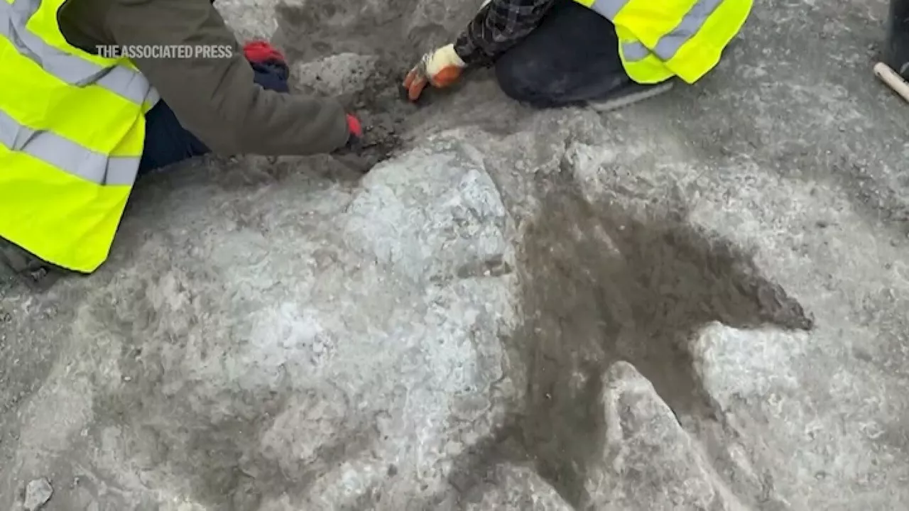 Researchers discover numerous dinosaur footprints in a UK quarry