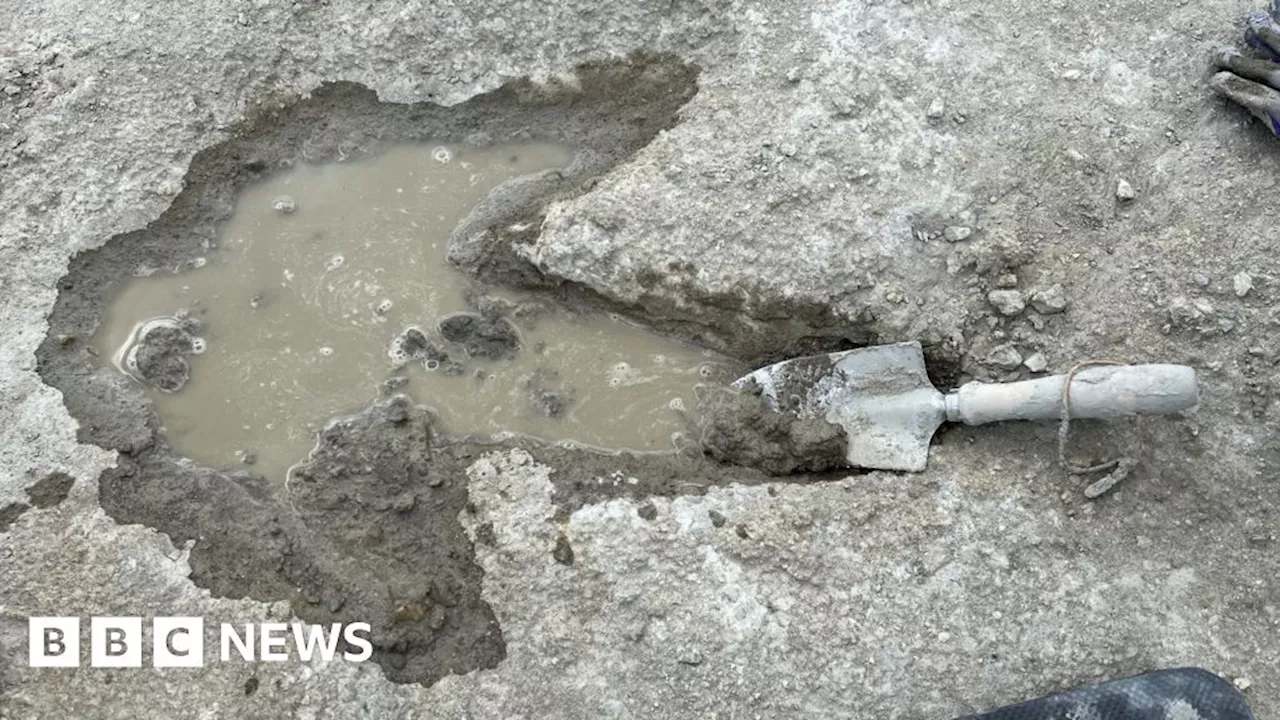 Dinosaur Footprints Unearthed in UK Quarry