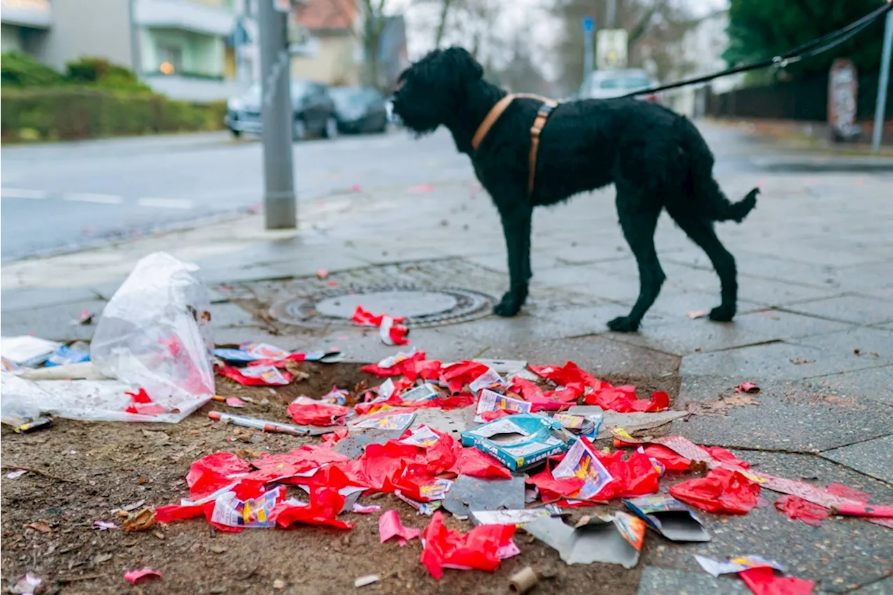 Silvester in Brandenburg: Knallt es auch am Stadtrand?