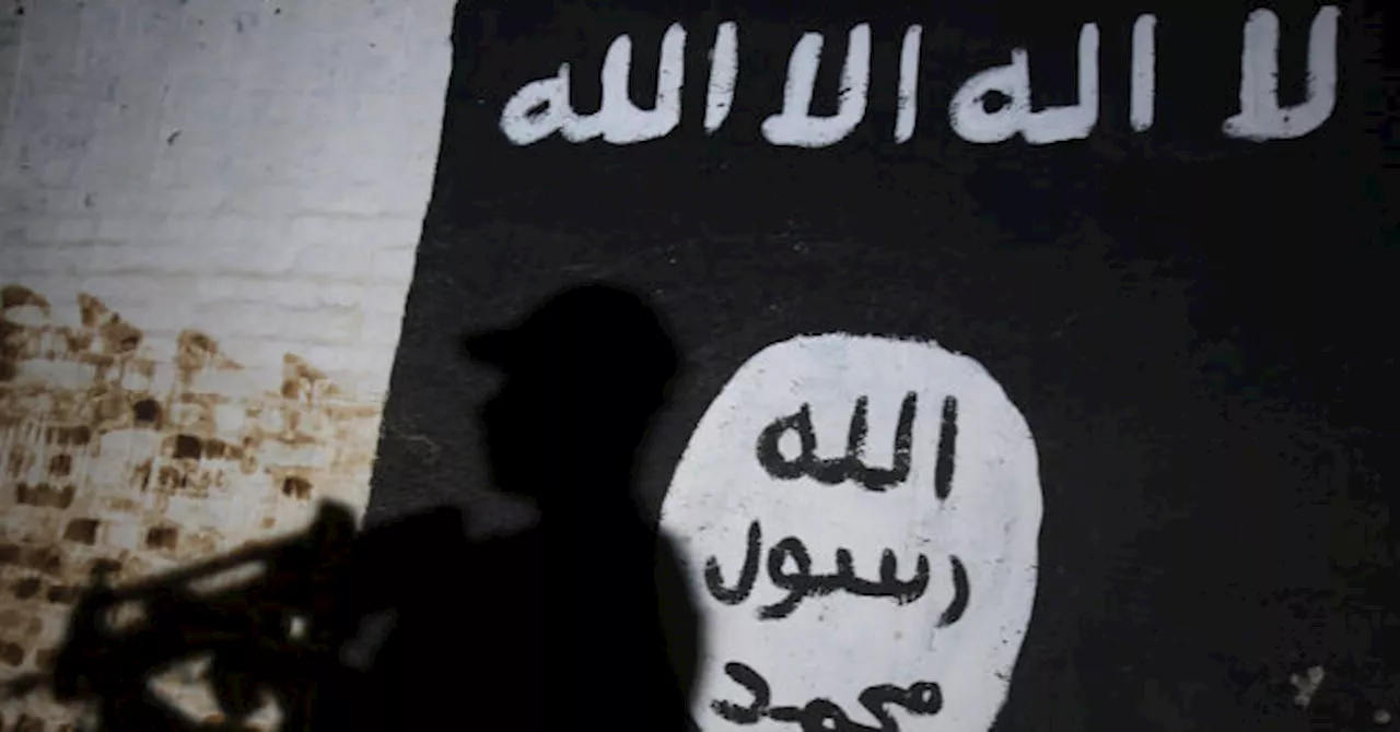 Al-Qaeda and ISIS Stronger Than Ever, Expert Warns