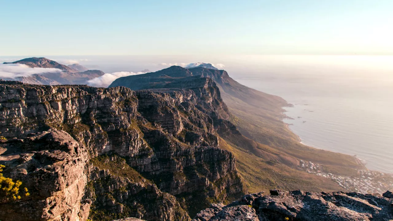 Explore the Diverse Trails of Table Mountain