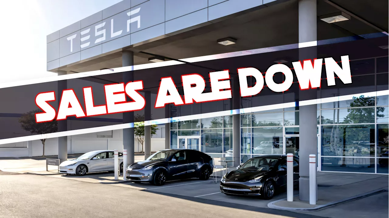 Tesla Sets Q4 Sales Record But Sees First Annual Decline