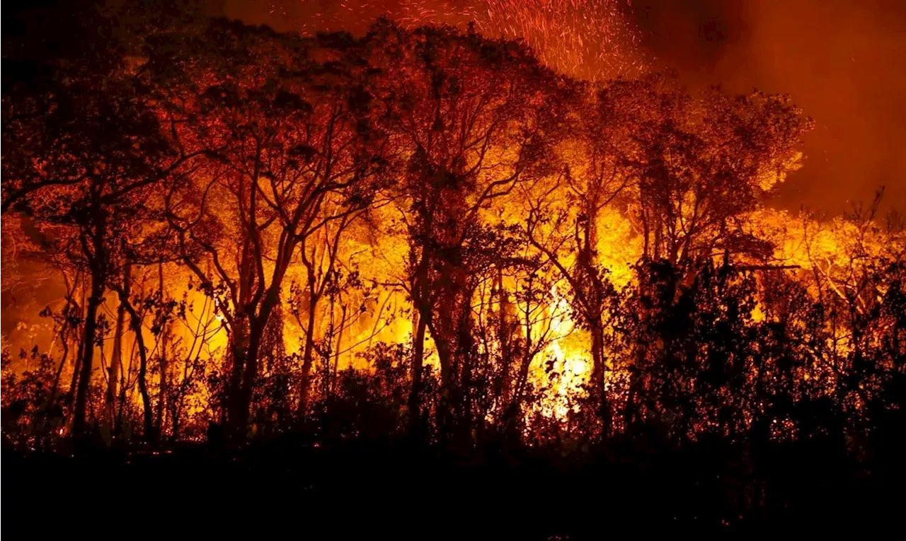 Brasil Registra Maior Número de Focos de Incêndio em Anos