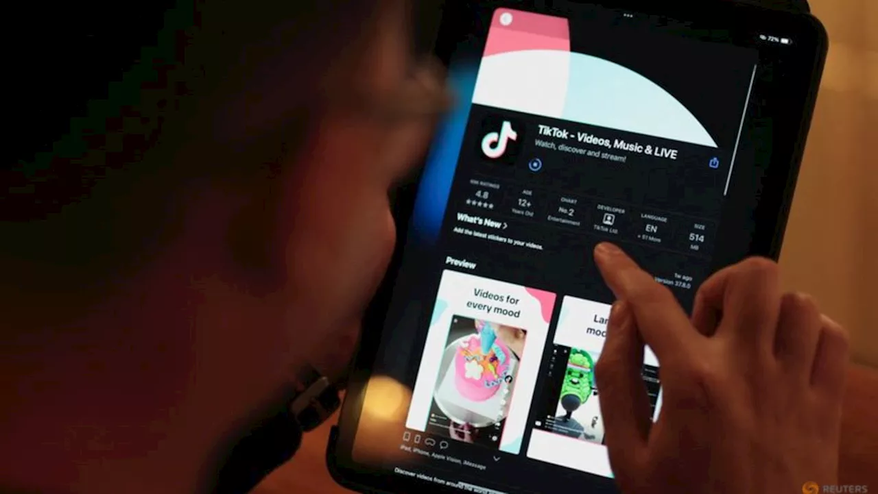 Albania Bans TikTok to Curb Youth Violence, Sparking Concerns Over Free Speech