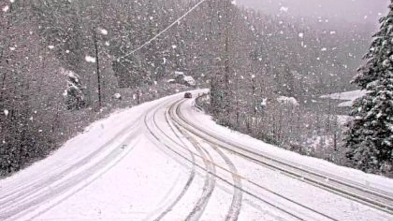 Heavy Snowfall Blankets Highway 4 near Port Alberni