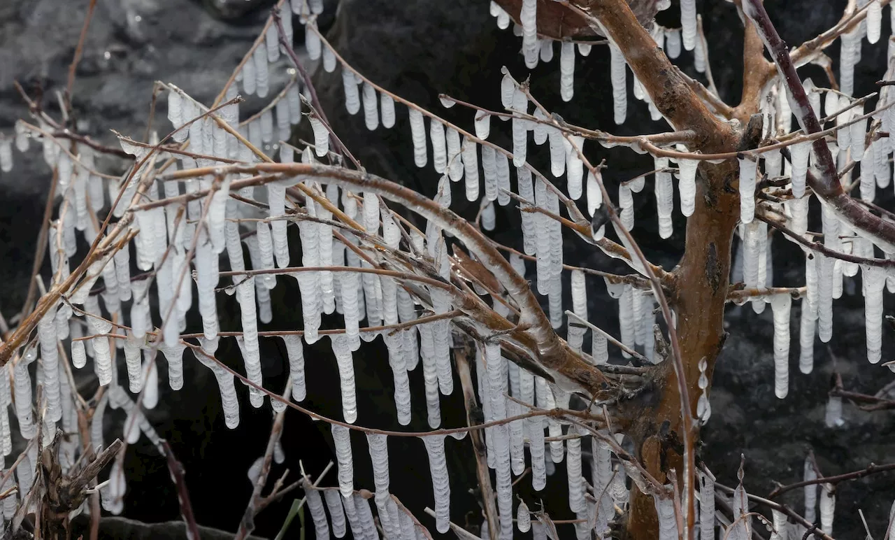 Cleveland Sees More Snow in 2024 Than Past Years