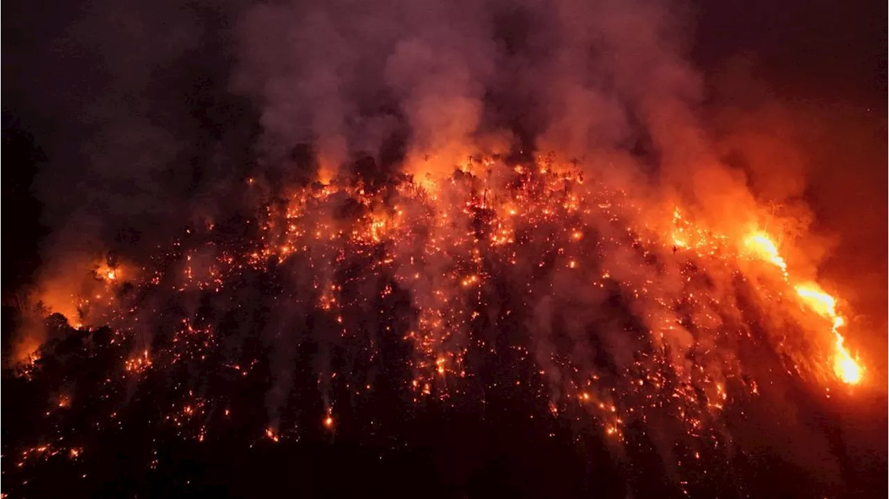 Brasil Registra Aumento de 46,5% em Incêndios Florestais em 2024