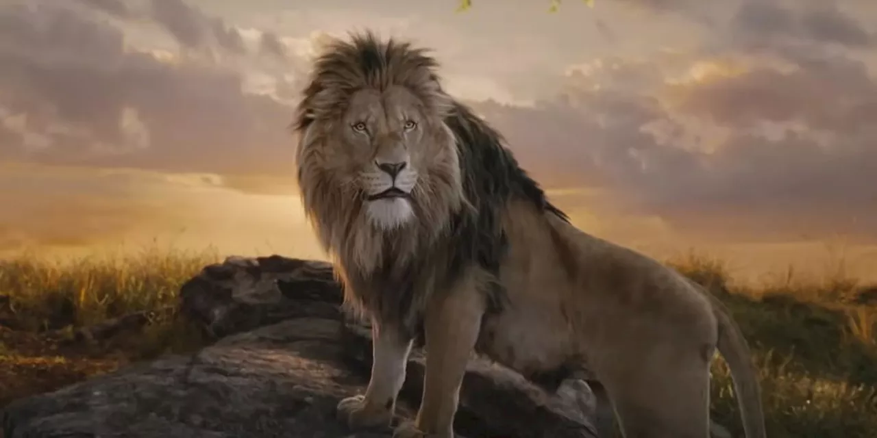 Shah Rukh Khan's 'Mufasa: The Lion King' Roars to Success in India