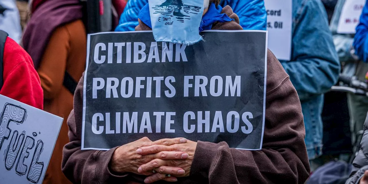 Big Banks Still Fueling Fossil Fuel Expansion Despite Net-Zero Pledges