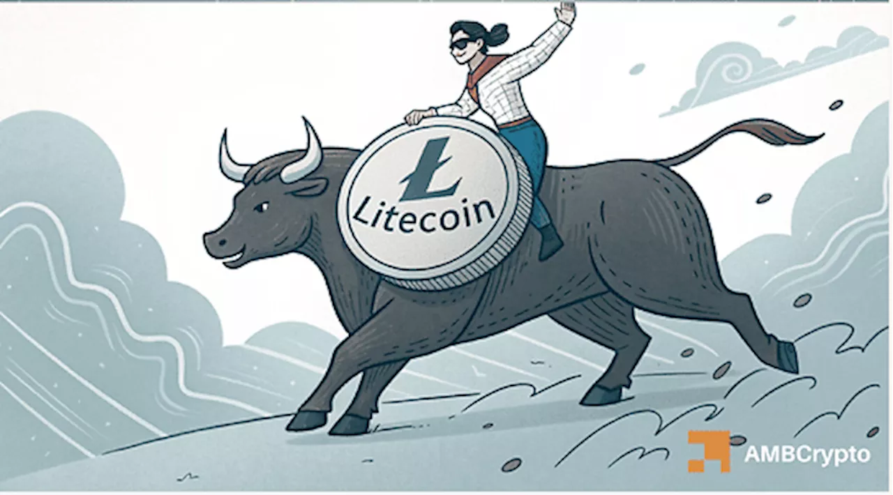 Litecoin Sees Bullish Rally Fueled by Whale Activity