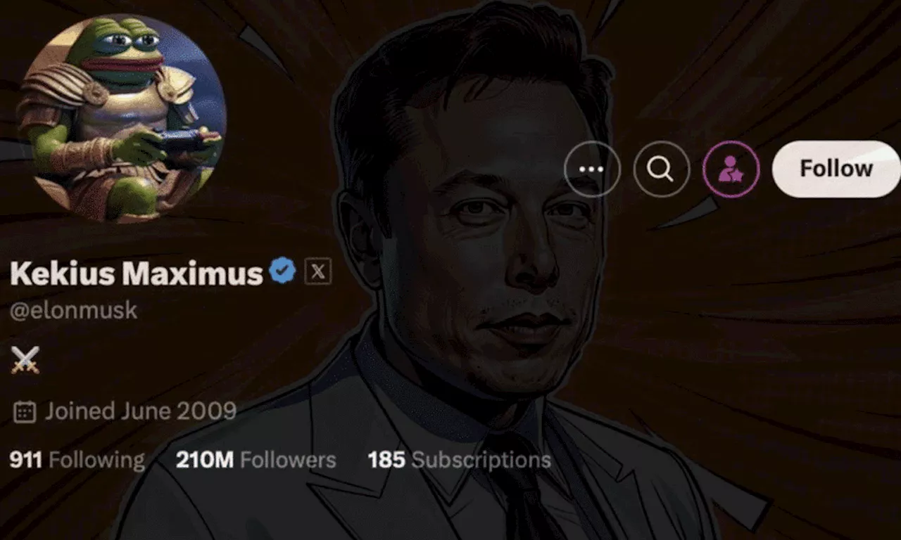 Musk's Frog Avatar Sparks Meme Coin Surge