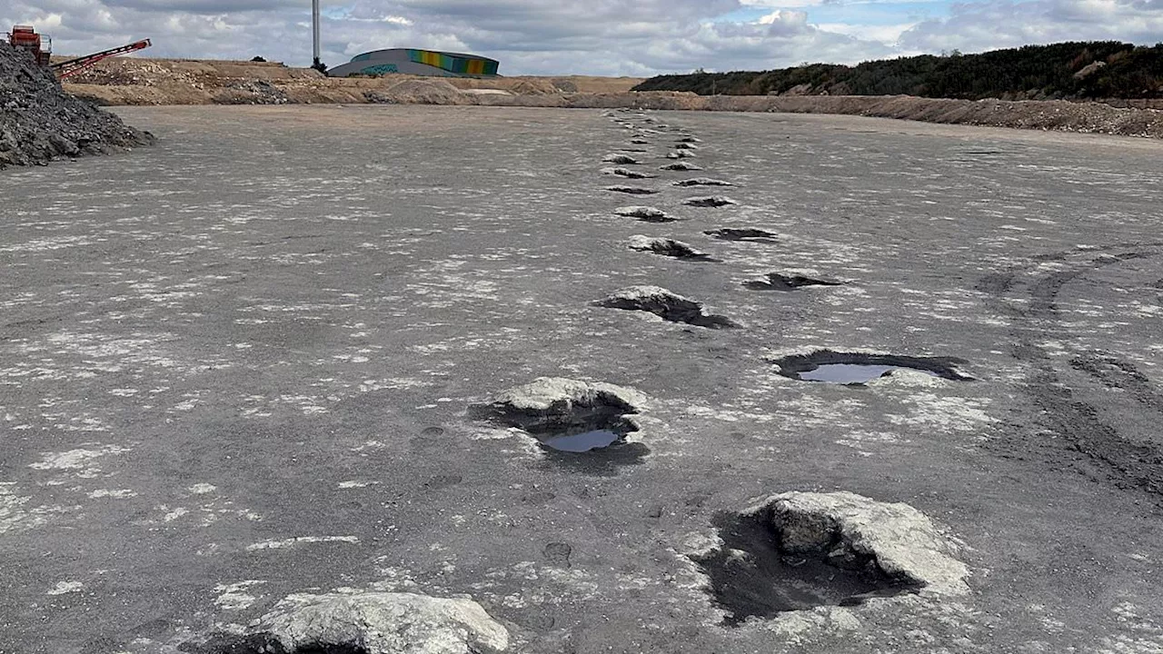 Britain's 'Dinosaur Highway' Unearthed: Hundreds of Fossil Footprints Reveal Prehistoric Life