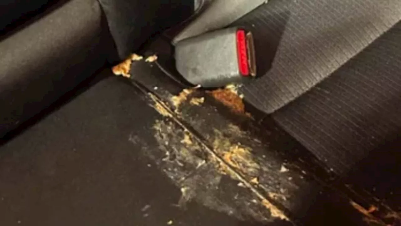 Uber Customer Accuses Driver of Using Viral Vomit Photo to Scam Cleaning Fee