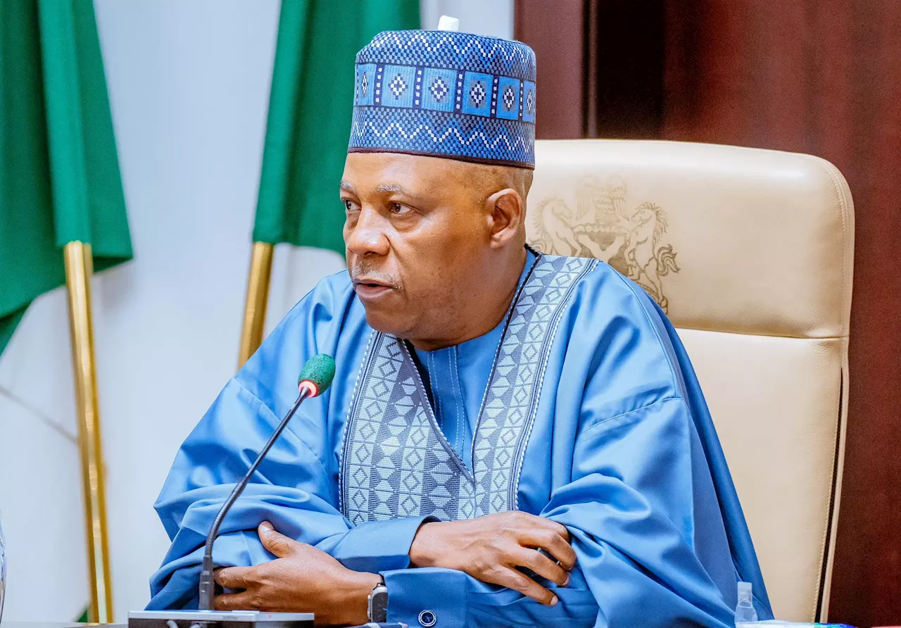 Nigeria's Economy Projected to Boom in 2025, Says Vice President Shettima