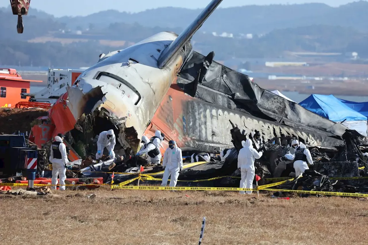 South Korean Authorities Investigate Fatal Boeing 737 Crash
