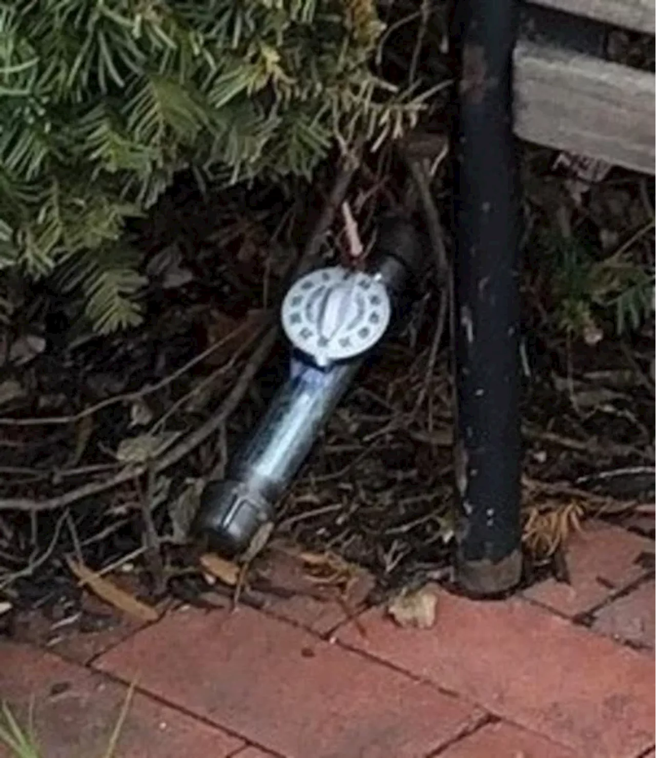 House Report Exposes Security Failures in Capitol Pipe Bomb Incident