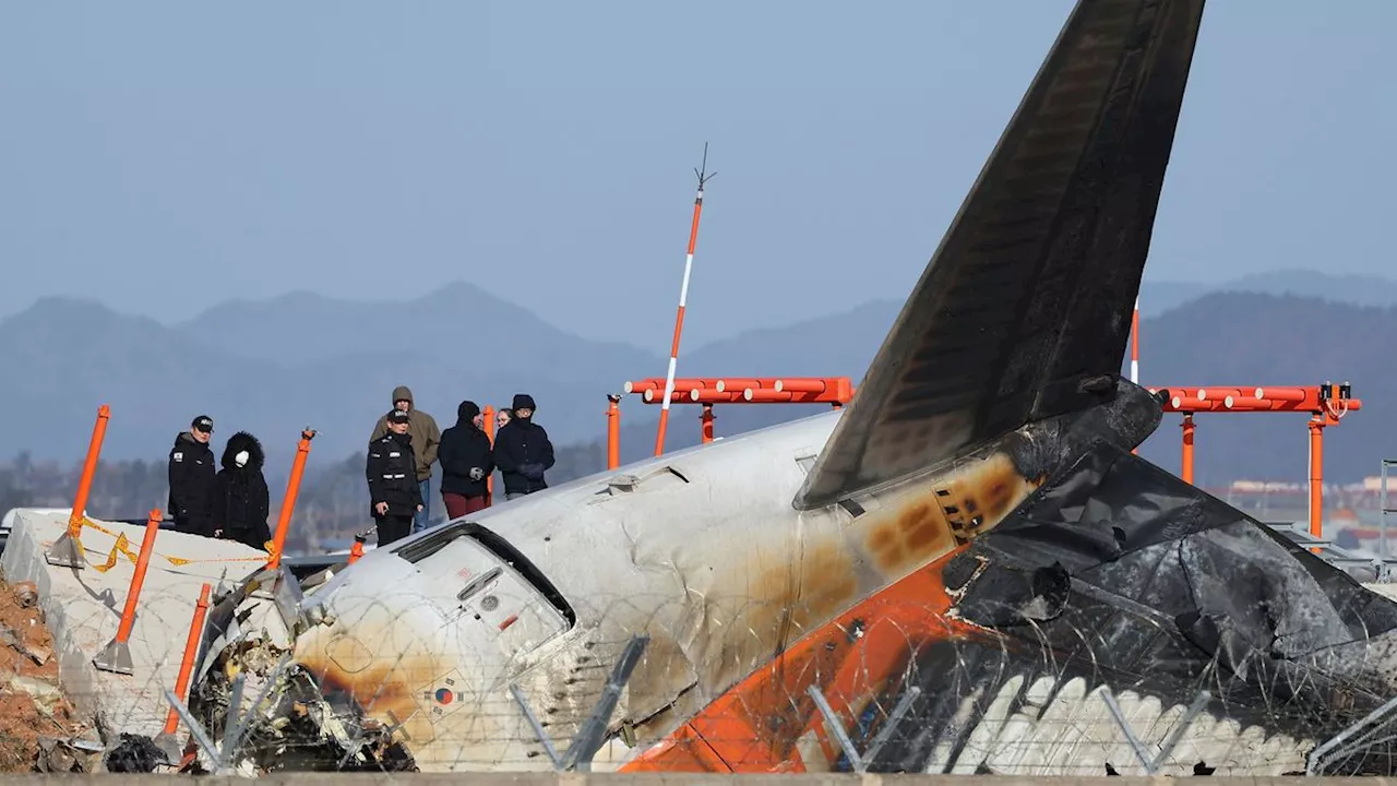 Tödliches Flugzeugunglück in Südkorea: Polizei durchsucht Flughafen in Muan und Büro von Jeju Air