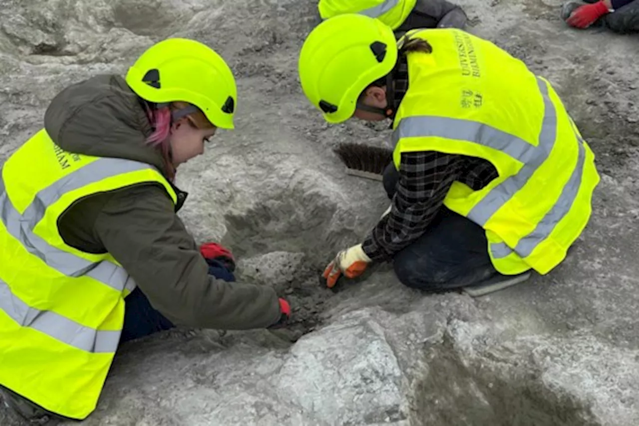 Wetenschappers leggen honderden voetafdrukken van dinosaurussen bloot in Britse steengroeve