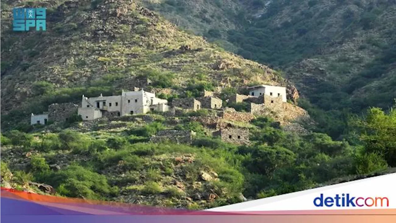 Lembah Subur Al-Majardah: Pesona Alam dan Warisan Budaya Arab Saudi