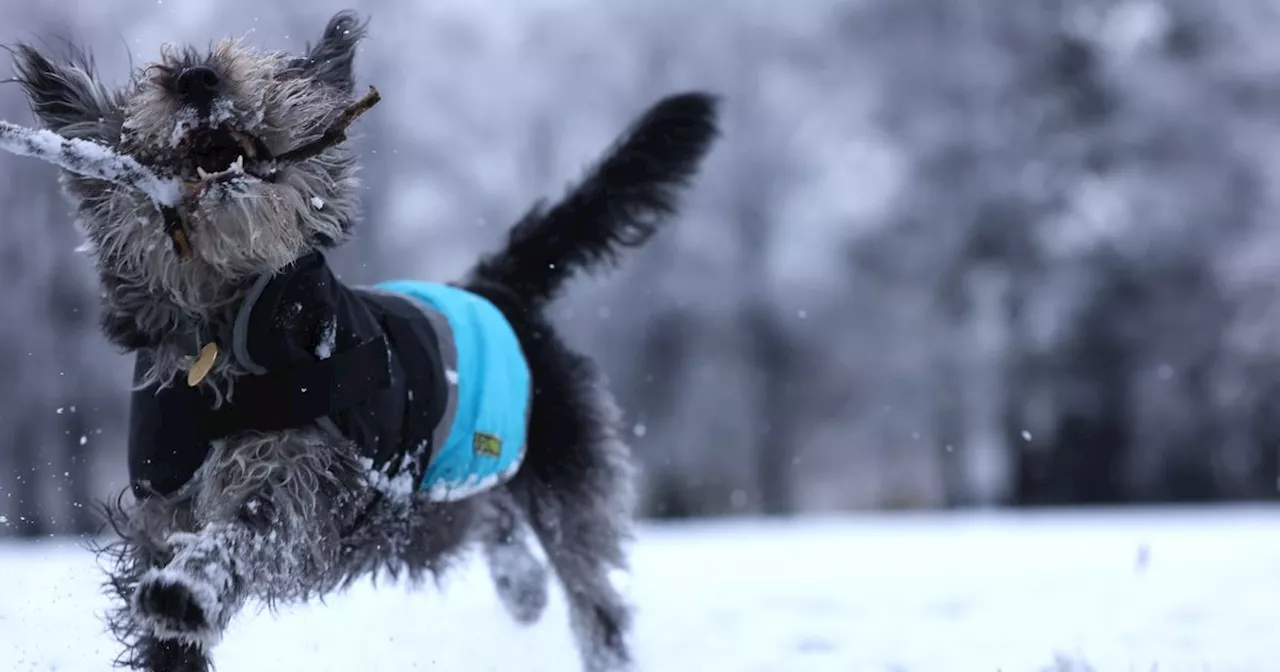 Met Office Issues Snow Warning for Merseyside