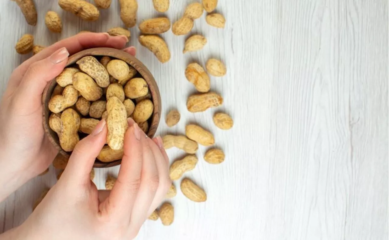 Consigue tu propia planta de maní con tan sólo un grano; sigue estos pasos