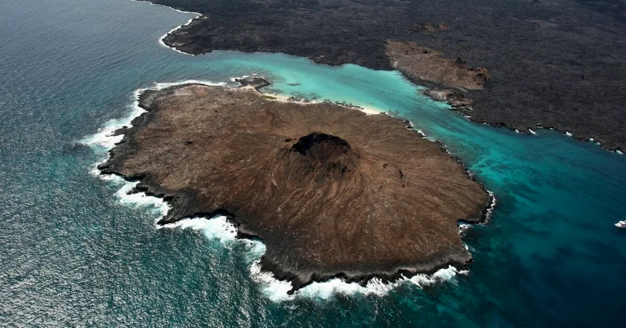 L’Ecuador autorizza una base militare Usa nelle Galápagos, le proteste: “La riserva naturale…