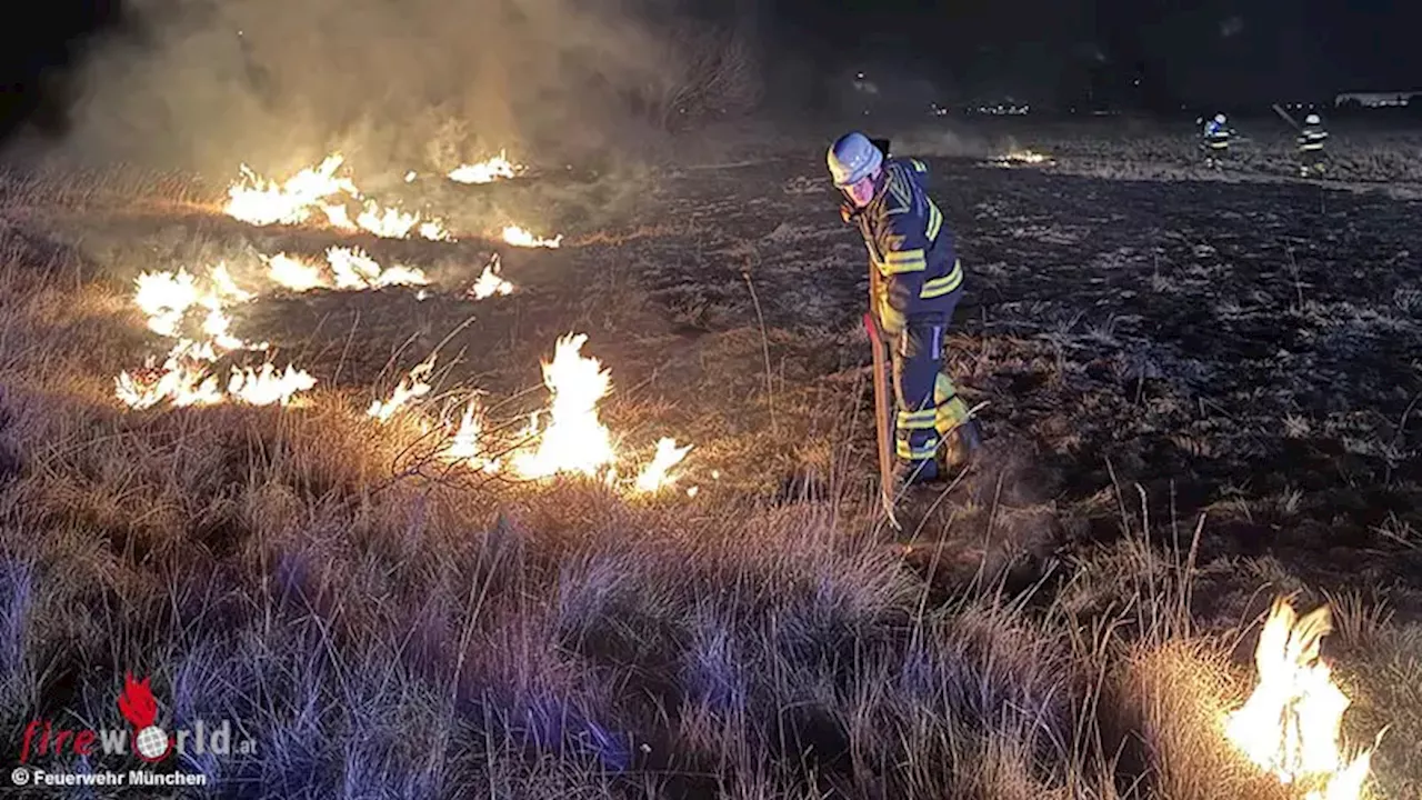 Flächenbrand auf der Panzerwiese in München