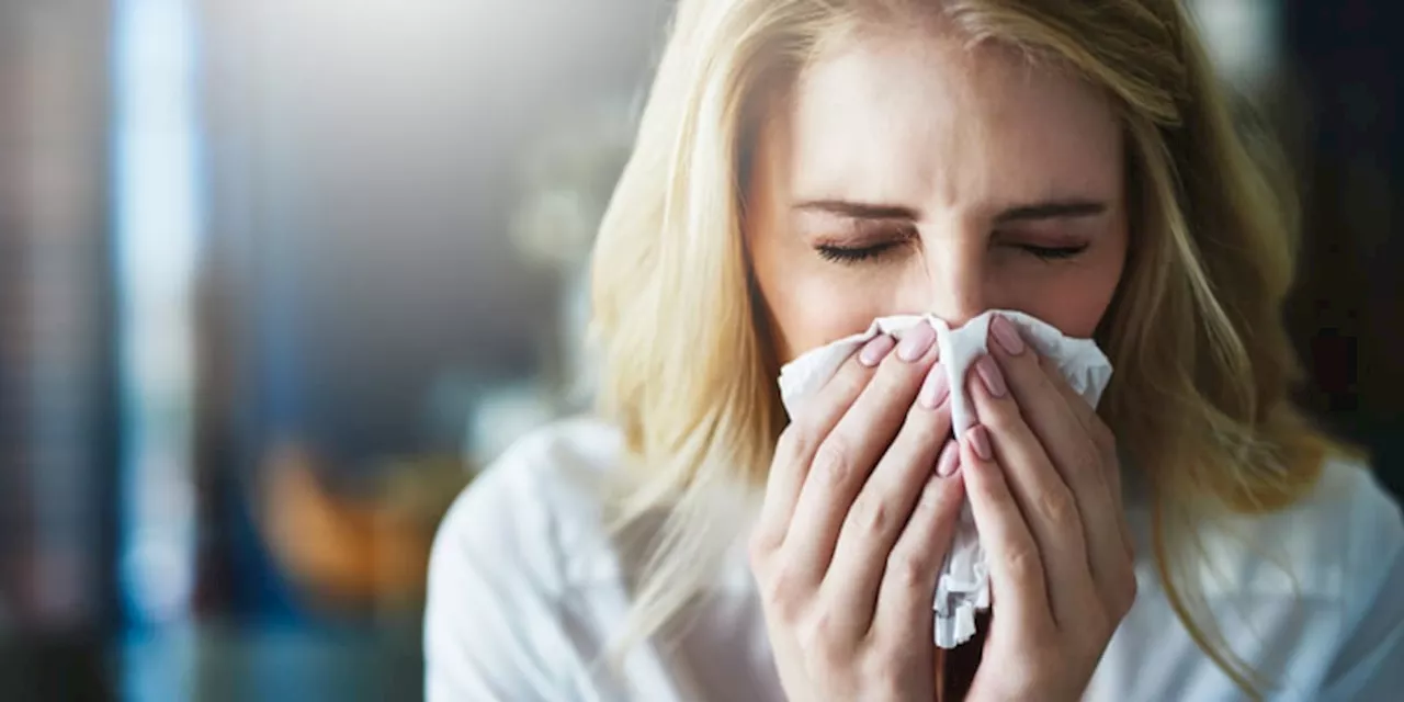 Die Farbe des Nasenschleims: So viel verrät sie über Ihre Gesundheit