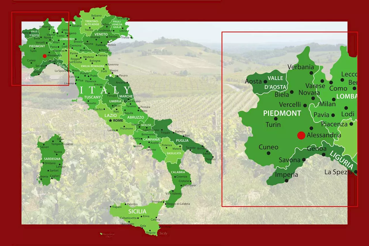 Nizza: The Rising Star of Barbera