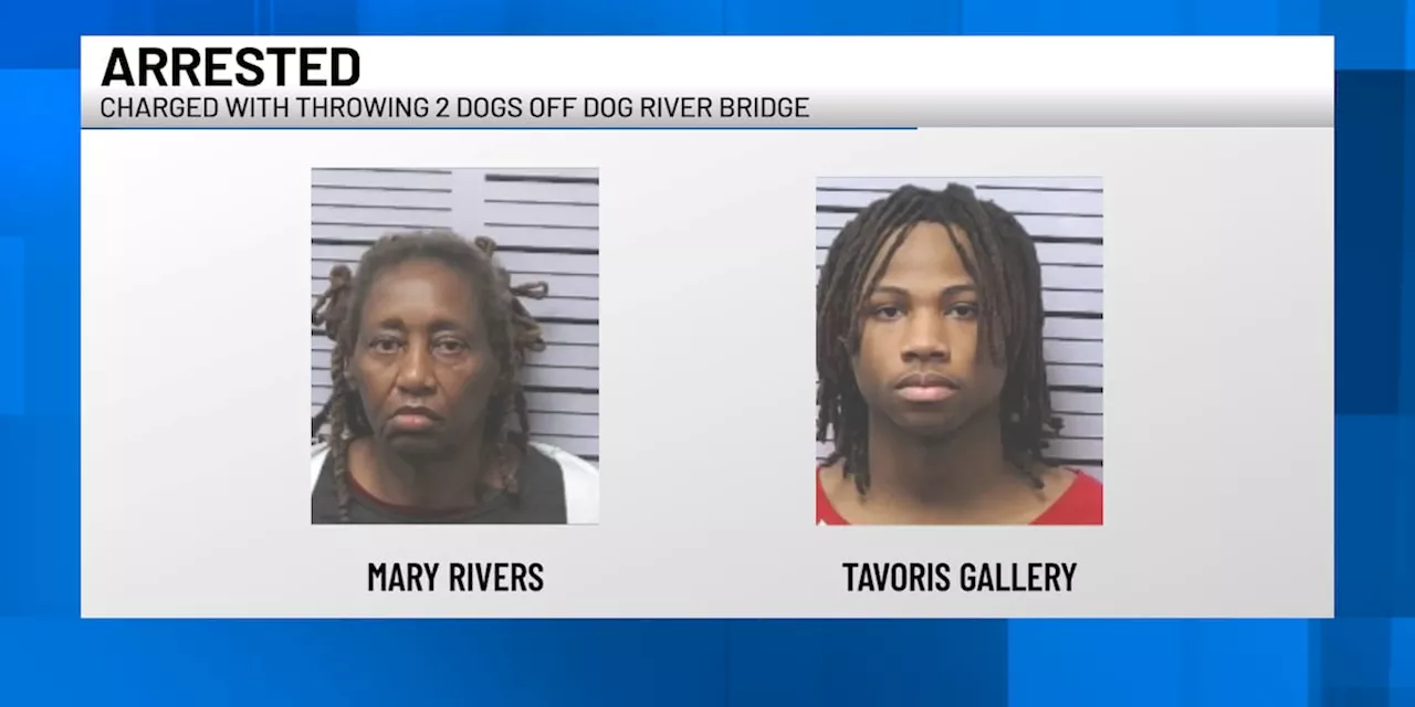 Two Accused of Throwing Dogs Off Bridge Face Aggravated Animal Cruelty Charges