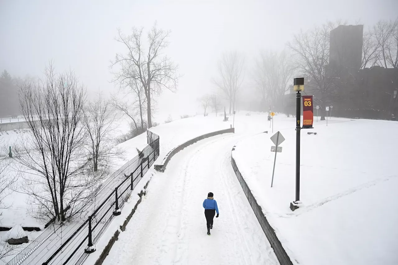 Montreal's Lachine Canal: A 200-Year Journey of Transformation