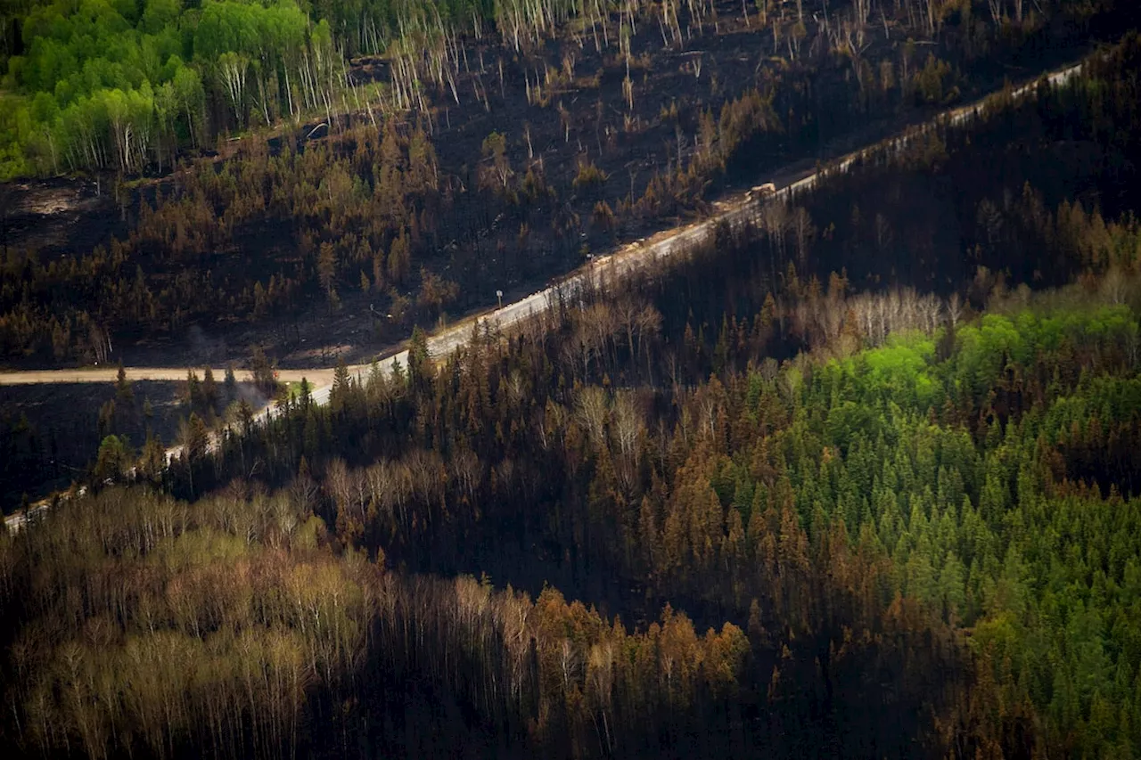 Canada primed for more severe wildfire days, driven by dry forest fuel, study says