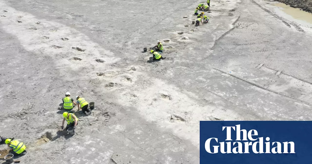 Largest Dinosaur Trackway Found in Britain