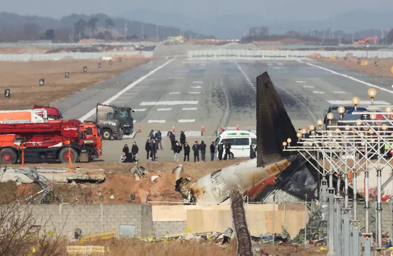 Struktur Beton Bandara Muan Diduga Sebabkan Banyak Korban Tewas Kecelakaan Jeju Air