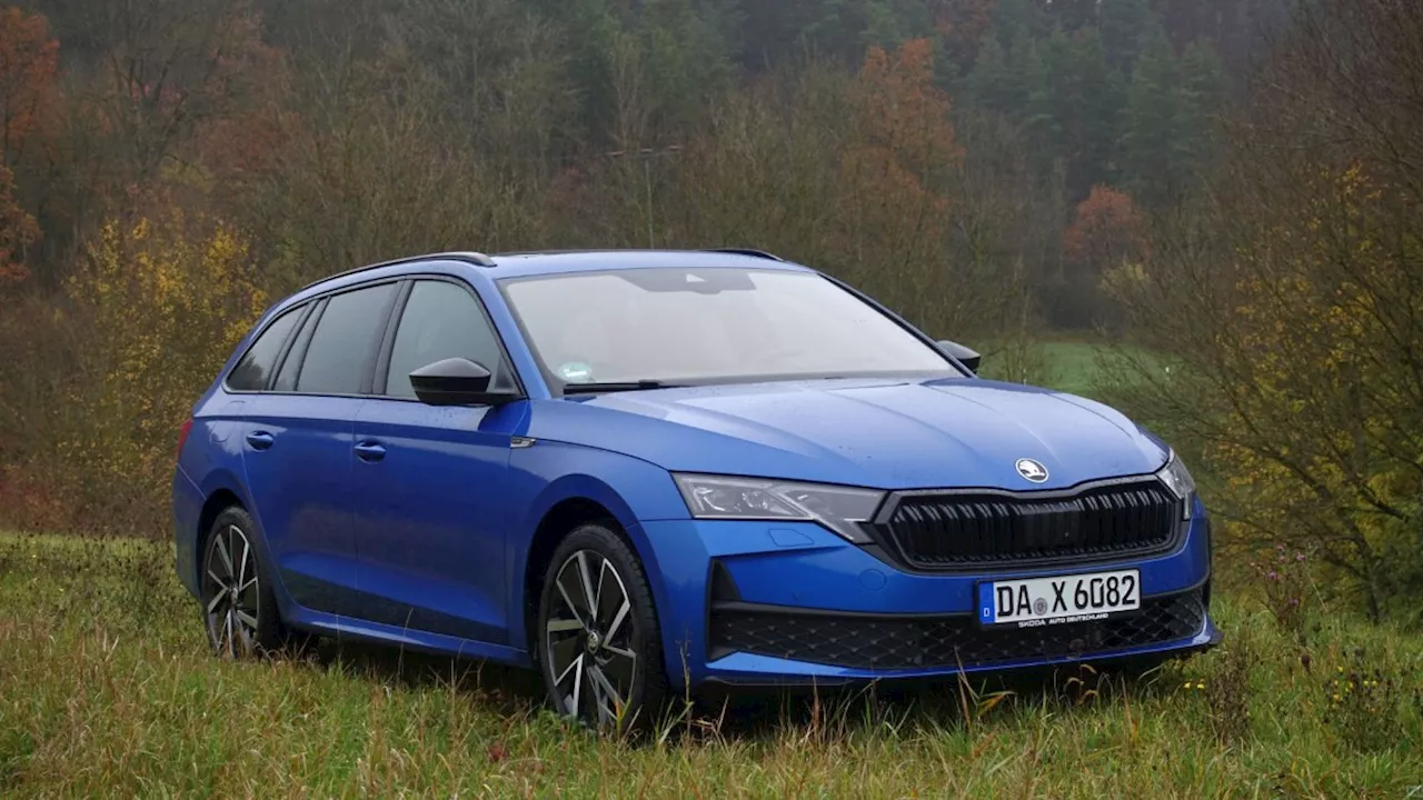 Skoda Octavia Combi 2,0 TDI DSG im Test