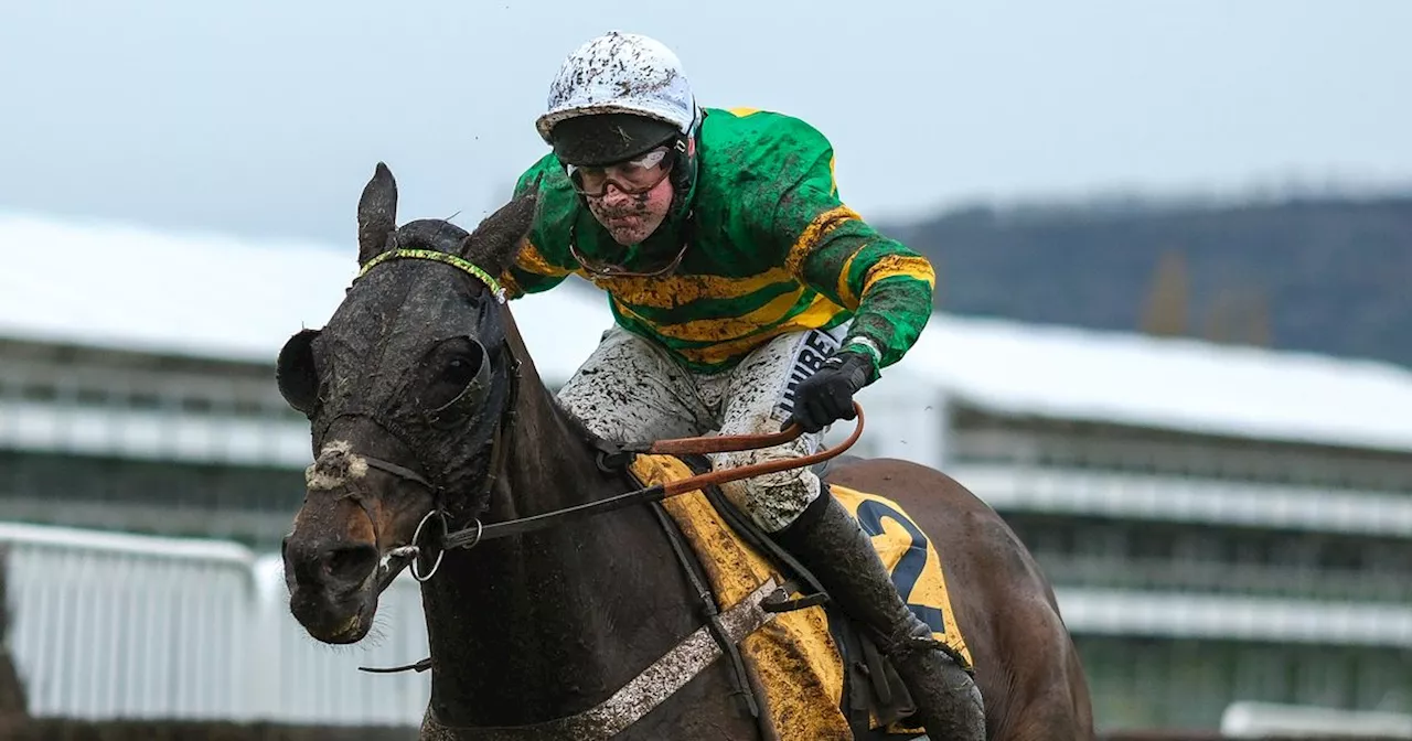 Chantry House Wins Betfair Handicap Chase at Cheltenham