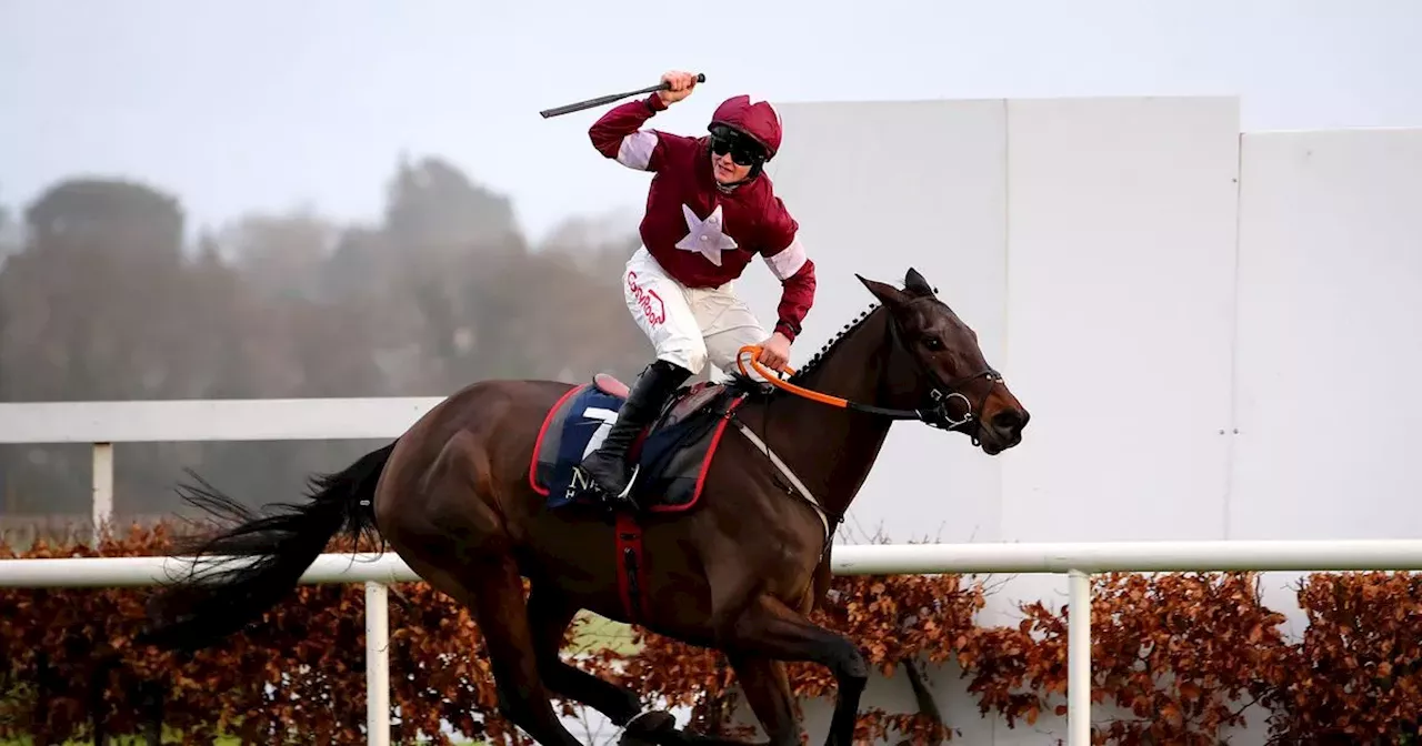 Mullins: State Man's Loss to Brighterdaysahead 'No Shame' by End of Season