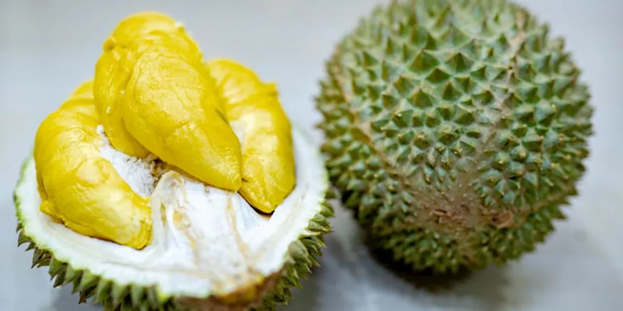 3 Ciri-ciri Durian Musang King, Ada Tanda Bintang Lima di Kulitnya